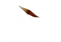 The Barn Store logo